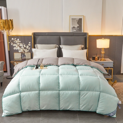 Hotel Winter dynepremie hele sesongen